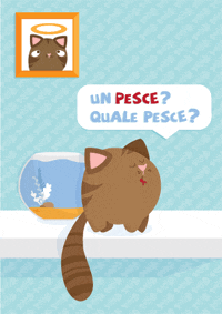 Un pesce? Quale pesce?