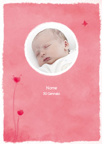 Partecipazione di nascita rosa